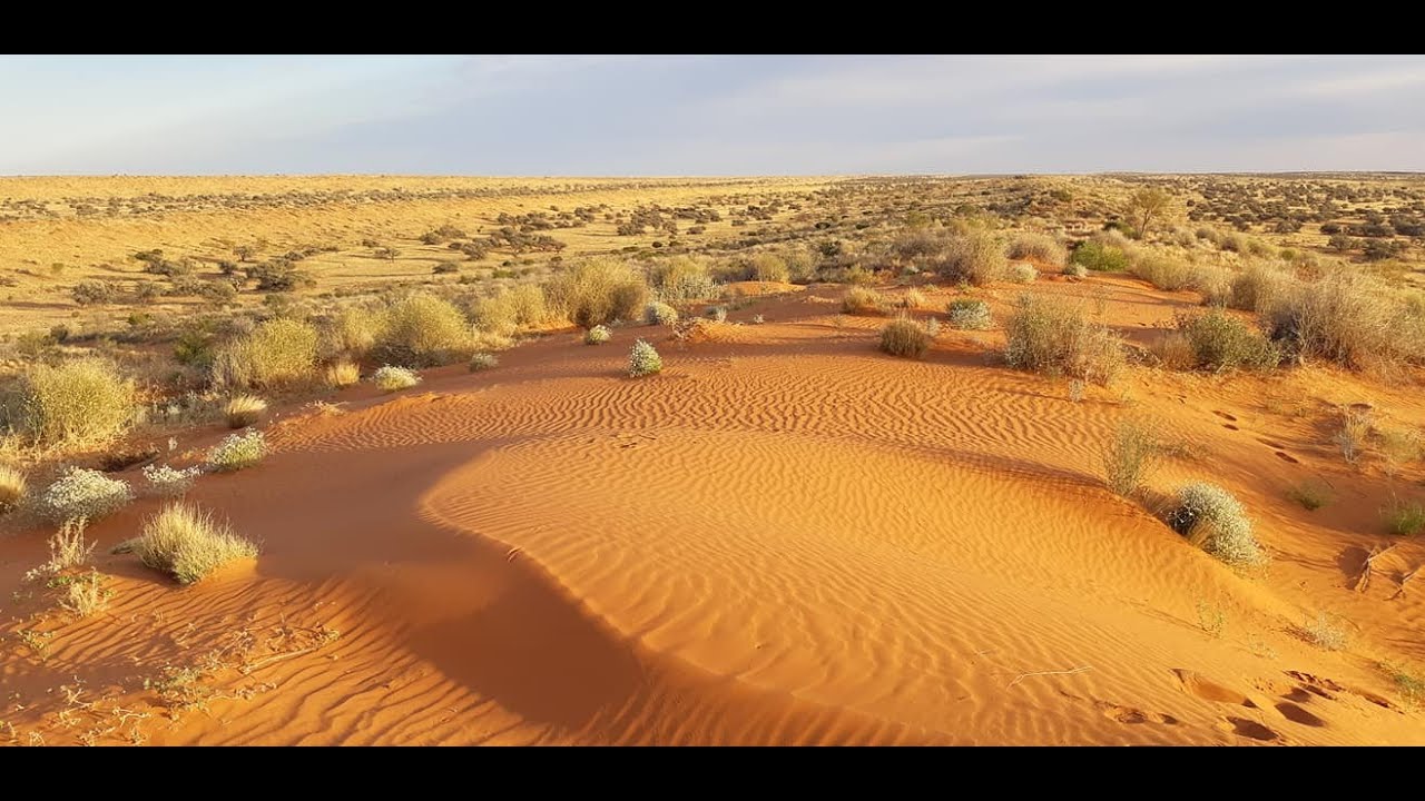 Simpson Desert Double Crossing August 2020     Part 2