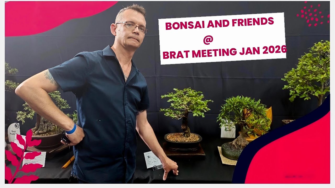 Bonsai exhibition with friends