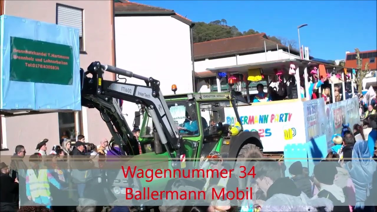 Fastnachtsumzug Dahn 2025 Teil 4 von 5