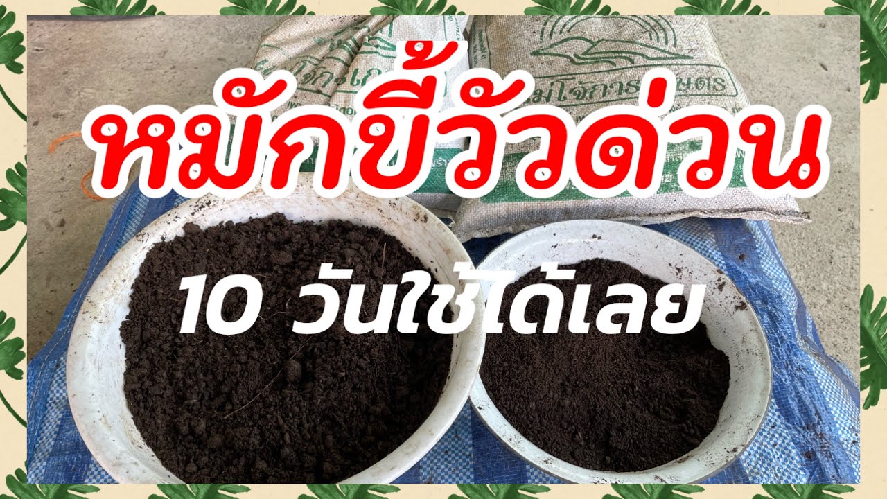 472/ ปุ๋ยหมักขี้วัว หมักด่วน 10 วัน ใช้ได้เลย/ตั้มเกษตรพอเพียง