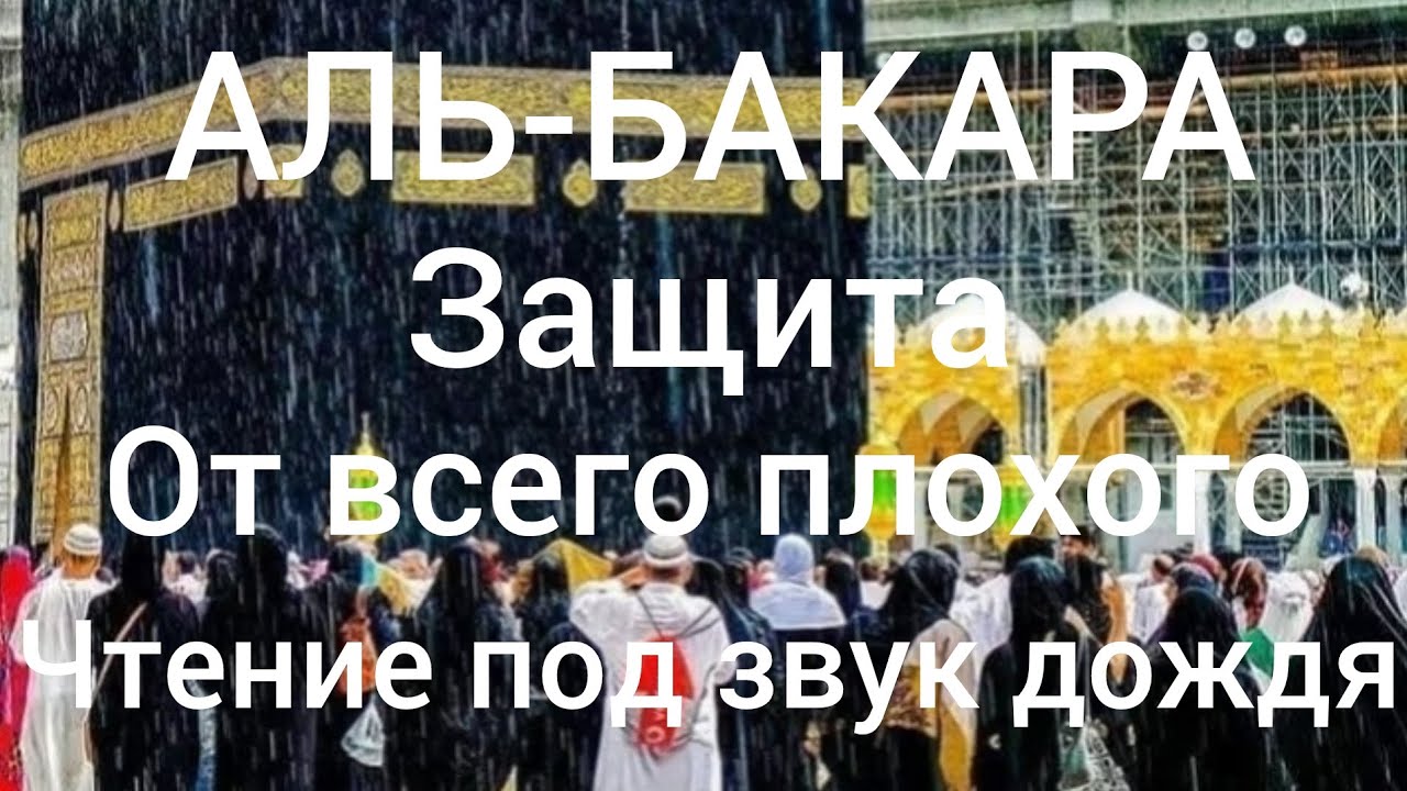 Al-Bakarah,Сура аль-Бакара чтение под звук дождя.Омар Хишам. Защита от джинов.Слушать каждый день.