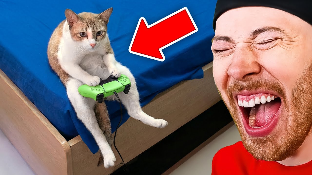 Funniest Animals On The Internet!