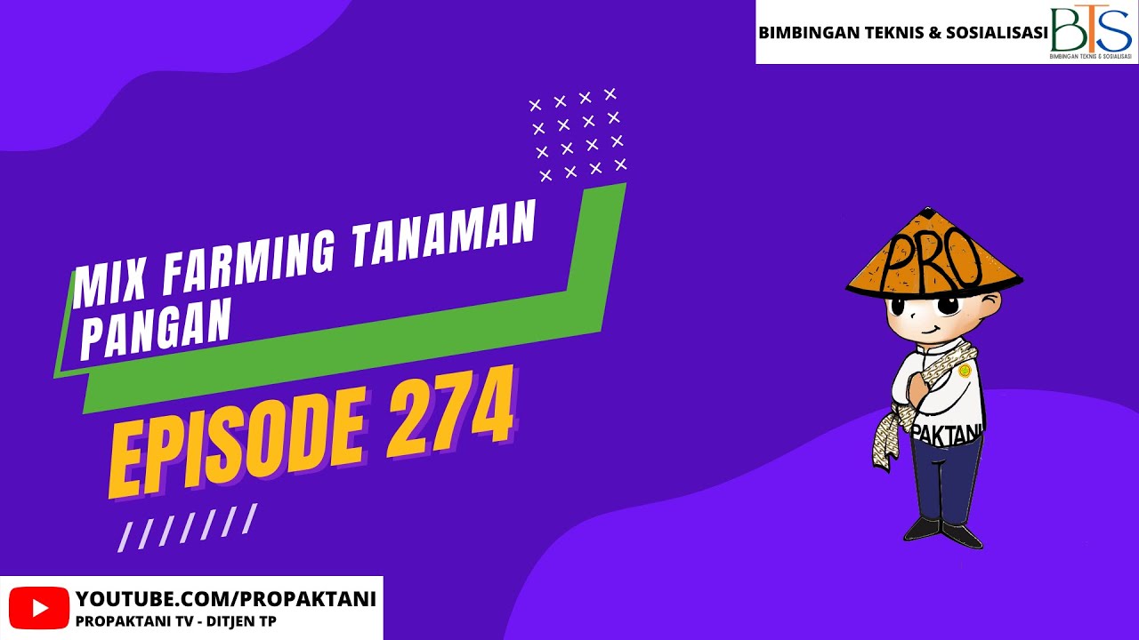 Mix Farming Tanaman Pangan
