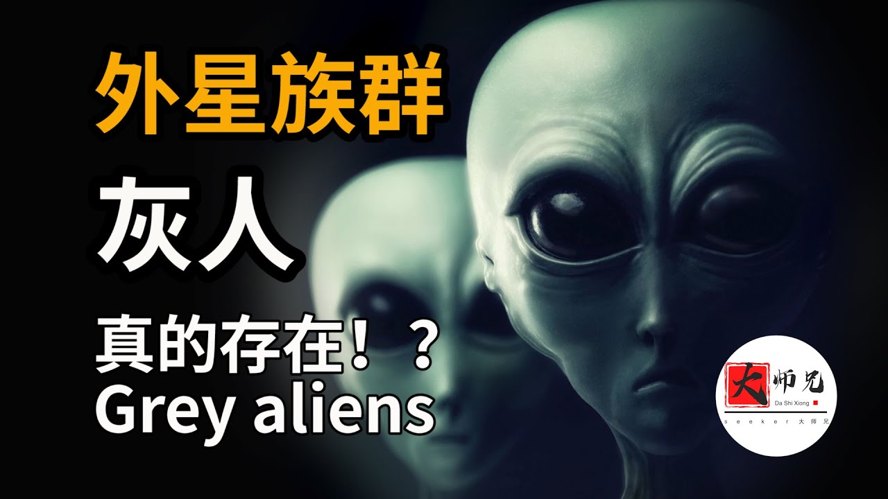 外星族群：灰人！真的存在吗？来自猎户座，网罟座泽塔双星，还是未来人？|seeker大师兄