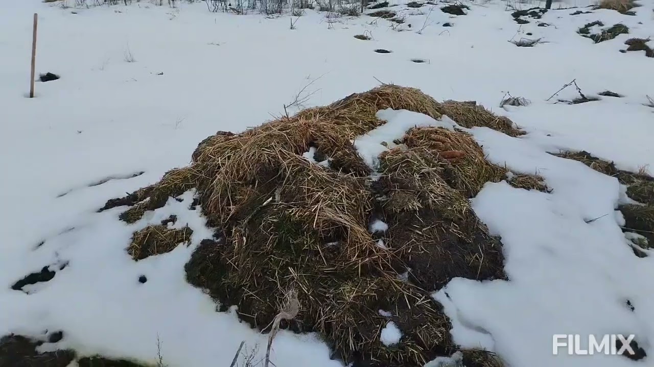 Вихідні пройшли з користю і швидко 