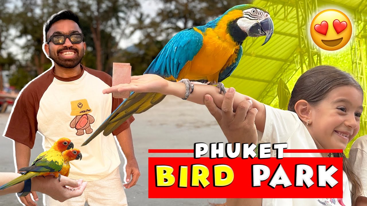 Phuket Bird Park 😍 Desi Vlogger In Thailand !