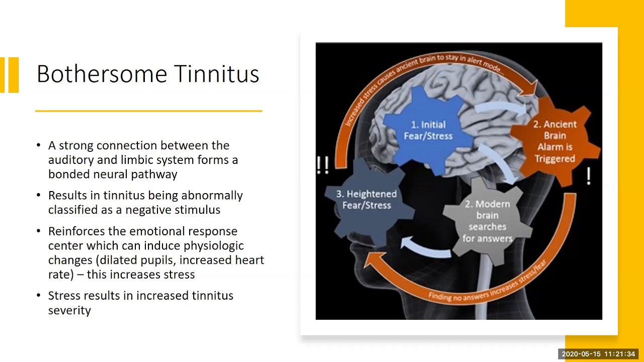 Management of Tinnitus - Dr. Catherine Drescher