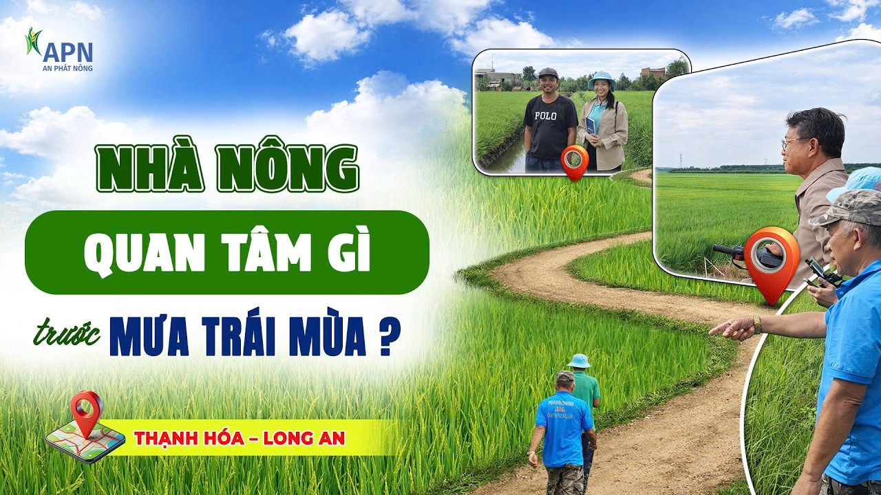 APN - NHÀ NÔNG QUAN TÂM GÌ TRƯỚC MƯA TRÁI MÙA? | CỨNG CÂY - PHÒNG BỆNH | ĐÔNG XUÂN 2026