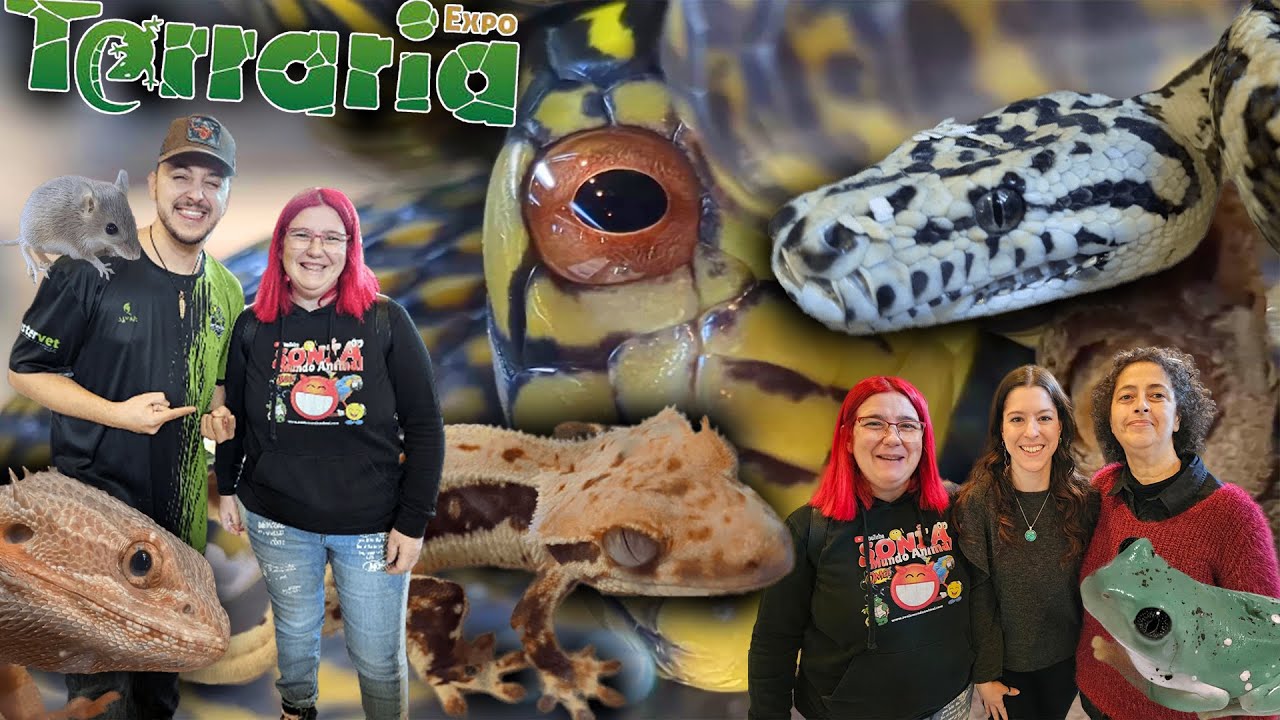 ✅Expoterraria🦎 Granada 2023 - Feria de reptiles, anfibios, roedores...