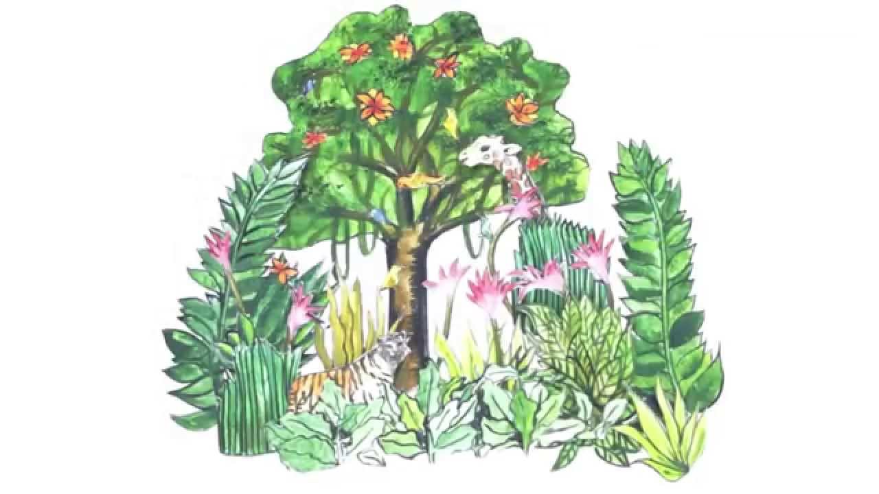 Simple Animated Video: What is a carbon footprint? What can you do about yours?