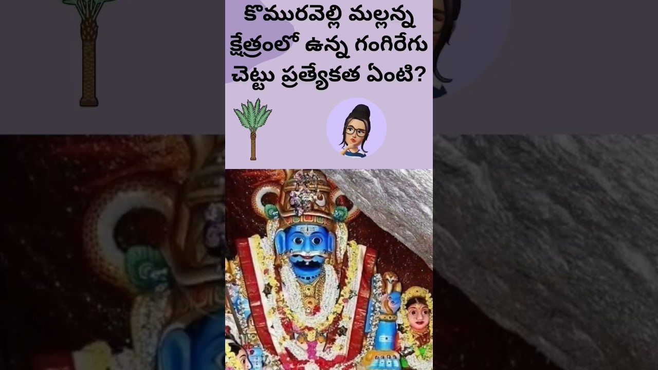 Komuravelli Mallanna temple facts. #komuravellibonalu #komuravelly #mallanna #gangaregichettu#viral