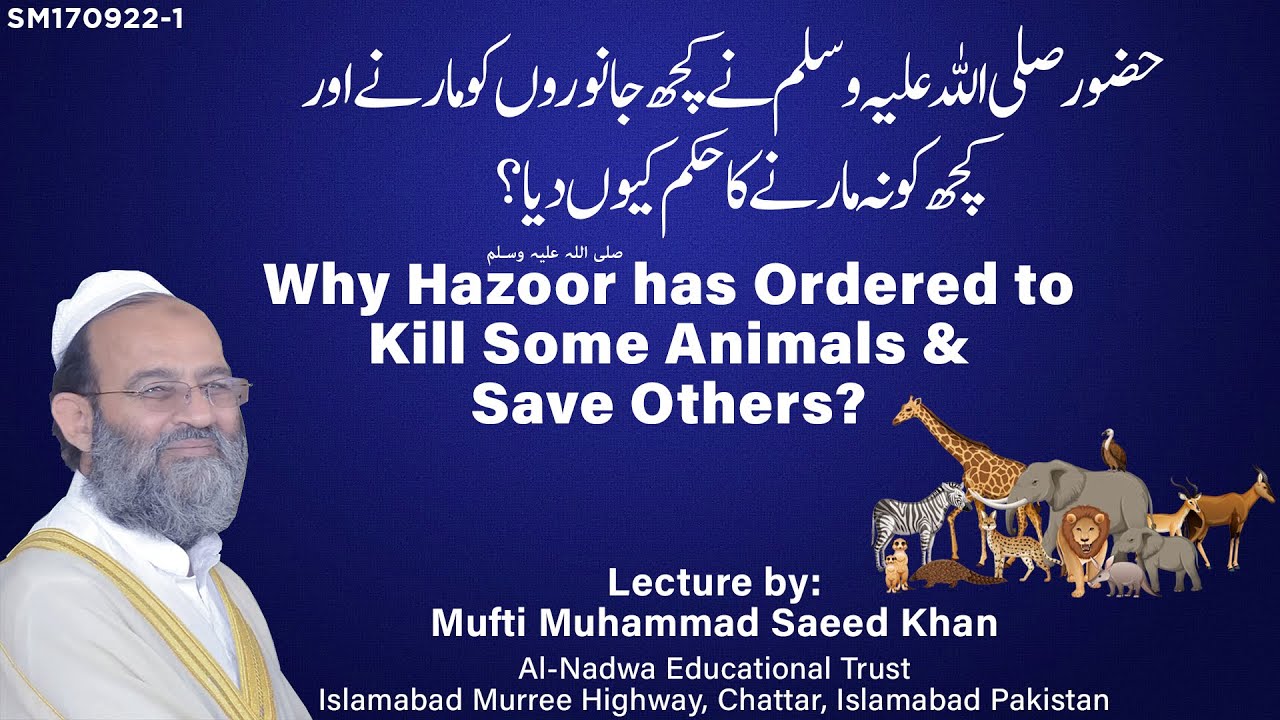Why Hazoor ﷺ Ordered to Kill Some Animals & Save Others?حضور ﷺنے جانوروں کو مارنے کا حکم کیوں دیا؟