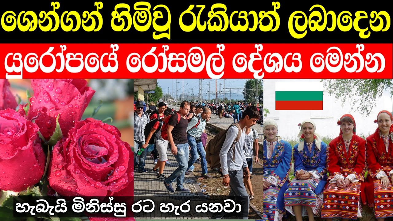 යුරෝපයේ රෝසමල් දේශය , බල්ගේරියා ගැන මේ දේවල් දන්නවද | රැකියා තිබෙන රටක් | Bulgaria in sinhala