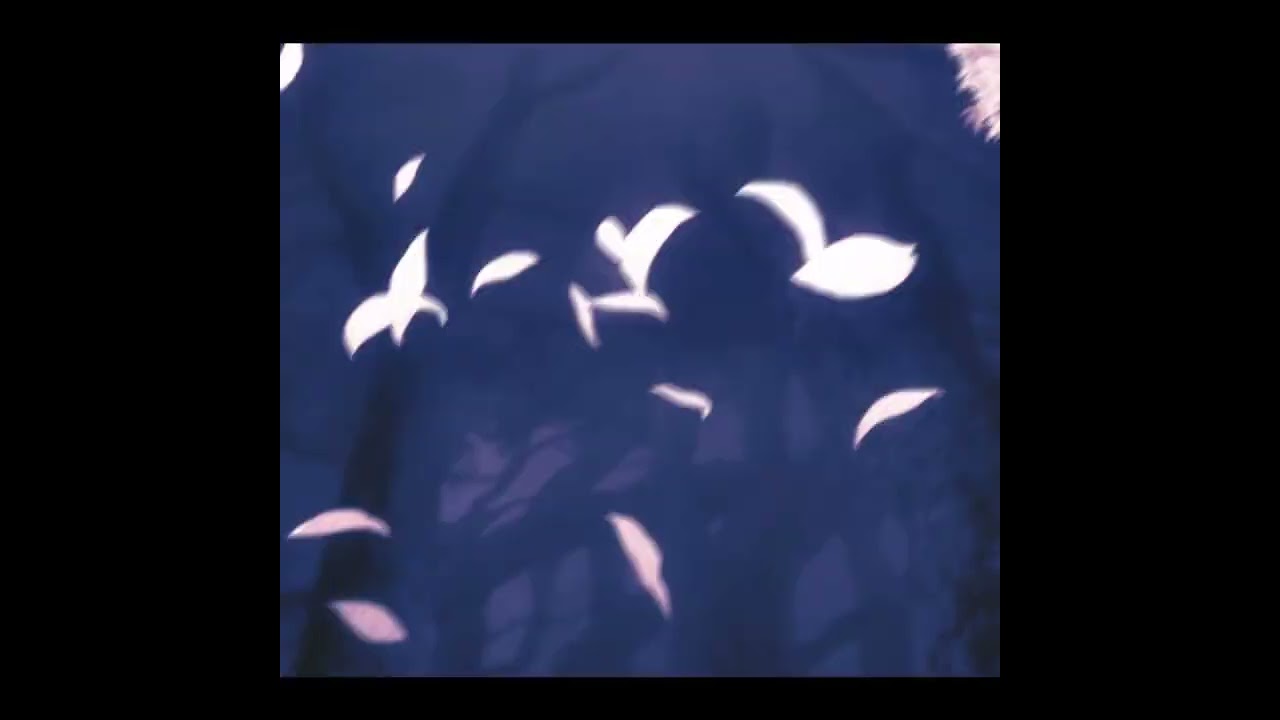Dungeon ni Deai wo Motomeru no wa Machigatteiru Darou ka [anime EDIT]