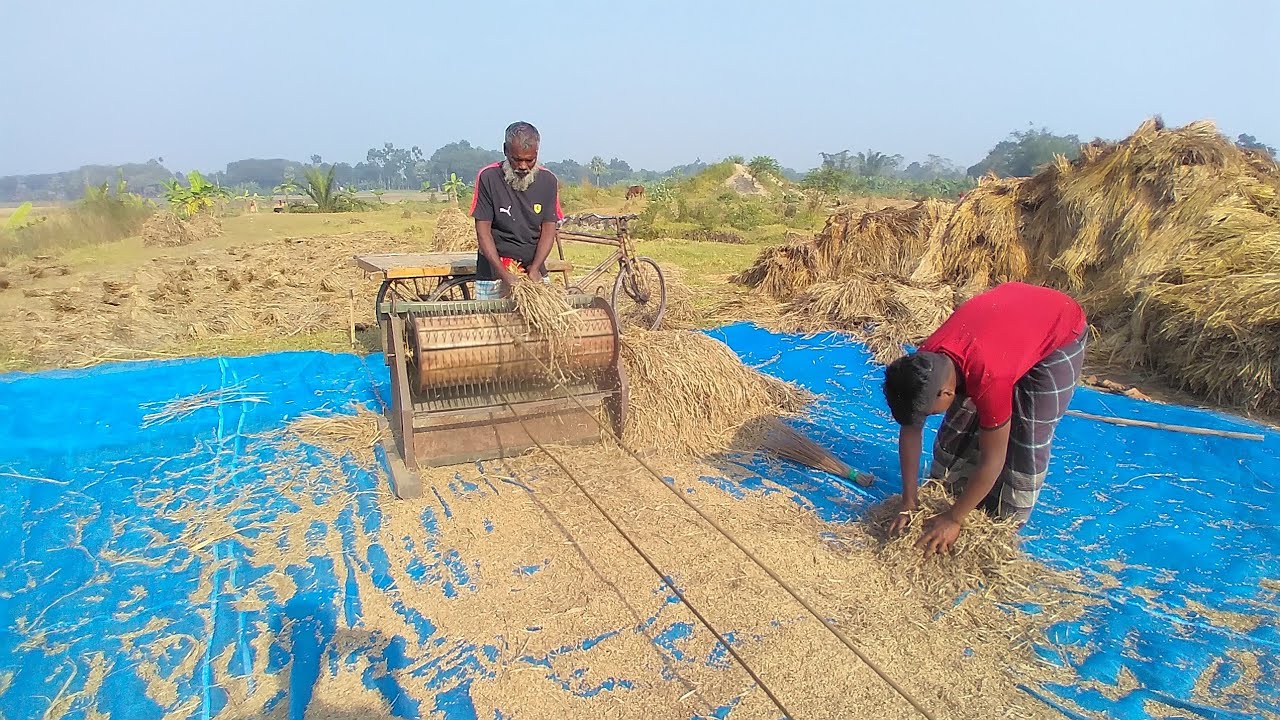 How to Make A Rice Thresher Machine at Home Rice Harvester Machine