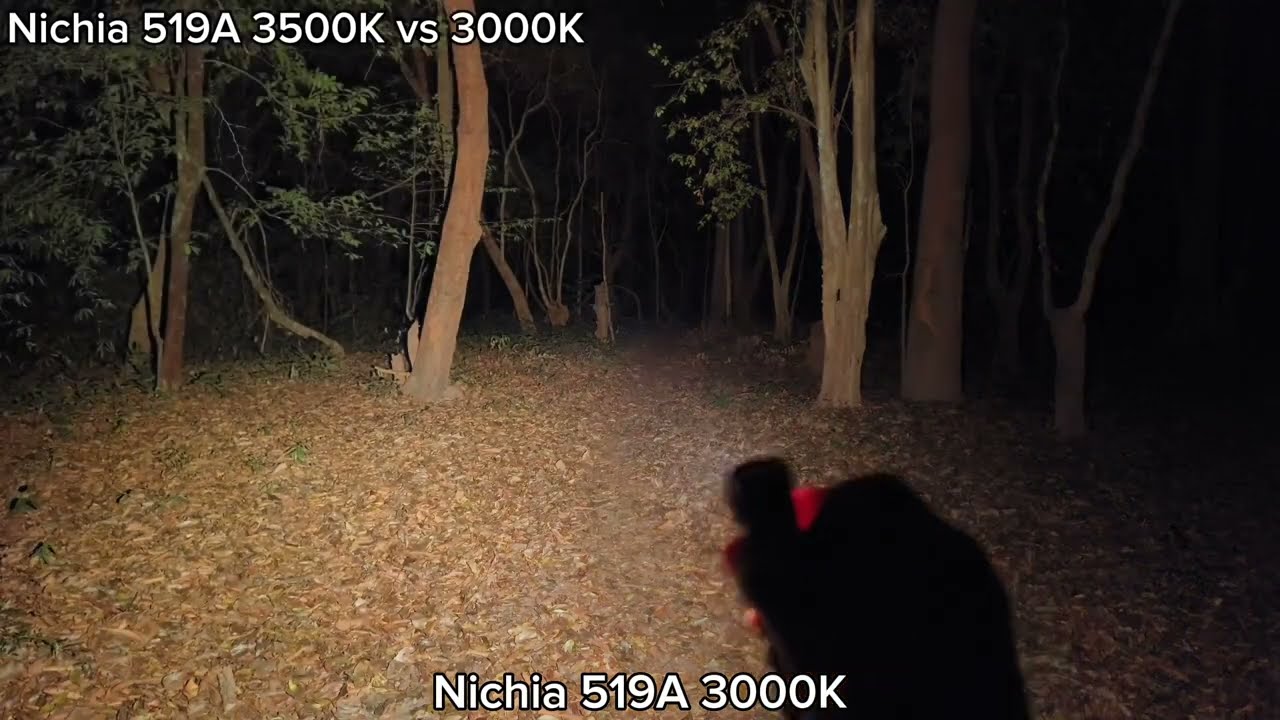 Tint Comparison - Nichia 519A 3500K vs 3000K in dark forest (เปรียบเทียบแสง 3500k กับ 3000K ในป่า)