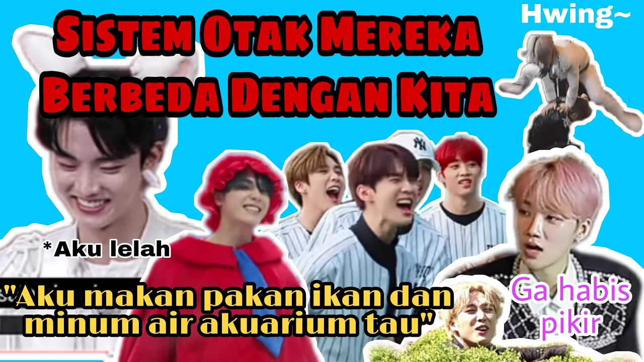 Segala Perkataan dan Kelakuan Mereka Yang Sulit Dipahami | The Boyz Funny Moments