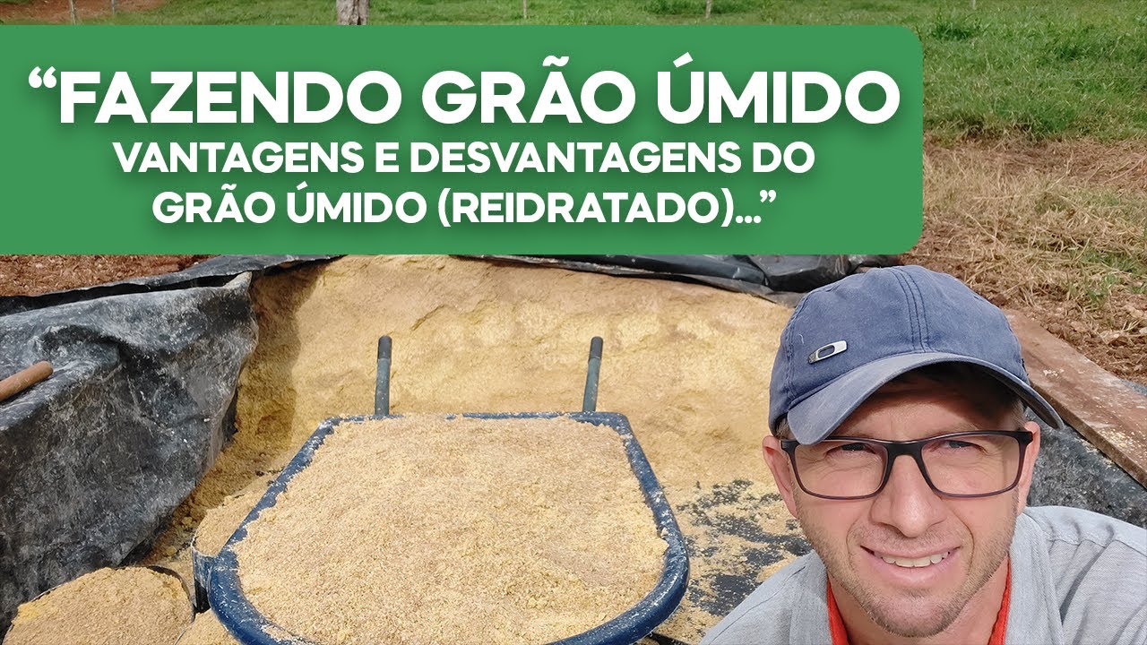 Fazendo Grão Úmido. Vantagens e desvantagem e detalhes importantes