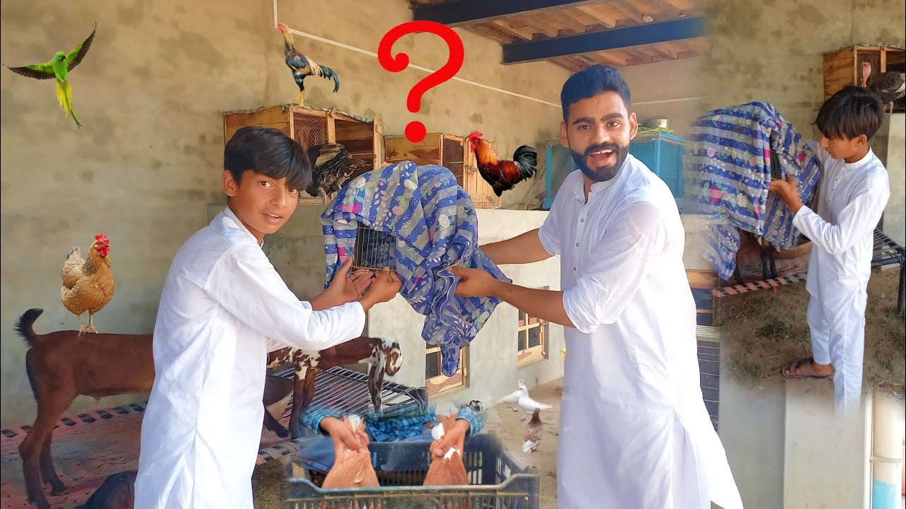 YouTube Family K Ley Bohat Bada Surprise 😍🥰