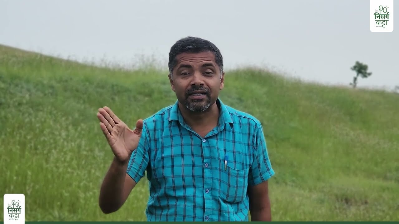 EP-12 | malran | माळरान | grassland | gavtalpradesh | grass | #trending  #youtube  #shorts