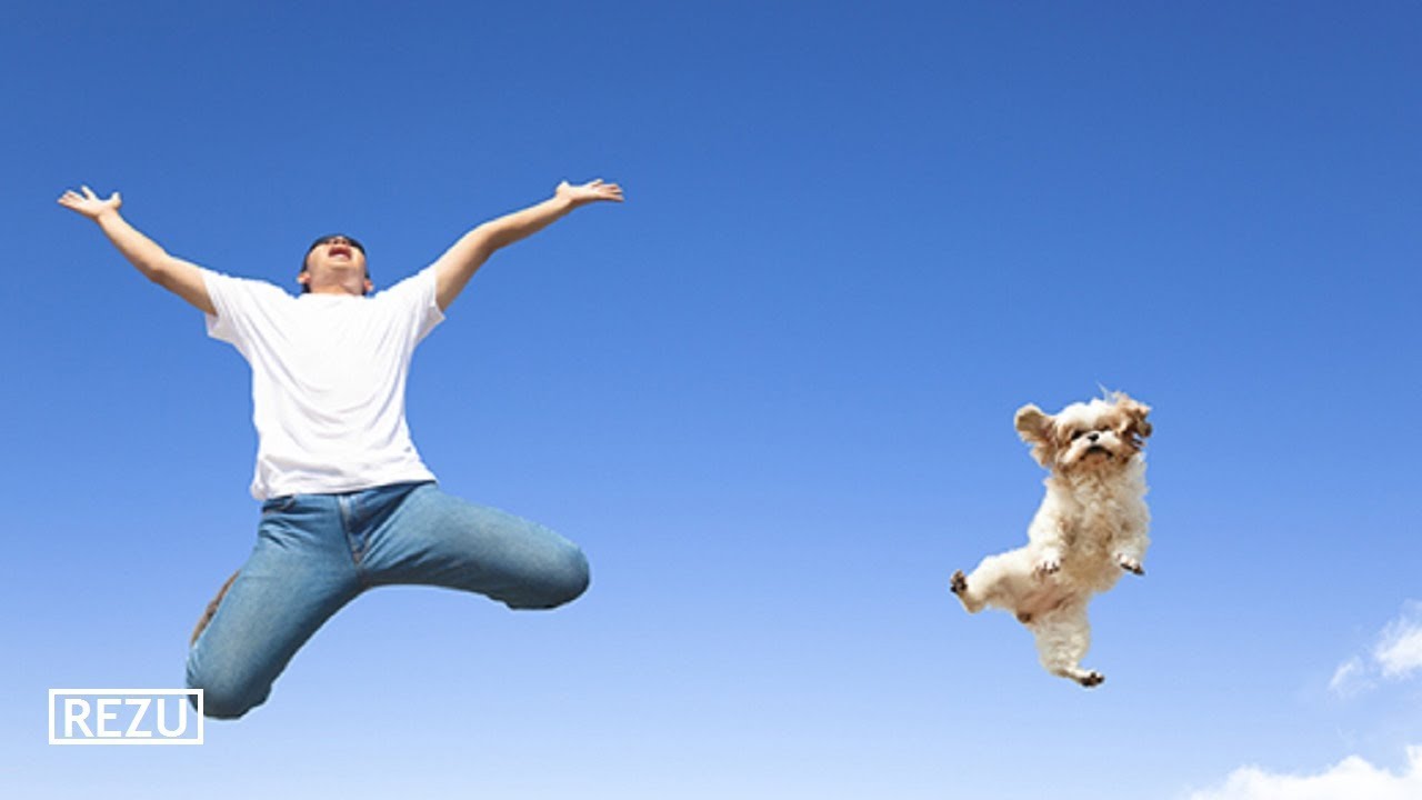 15 Amazing Happy Pictures