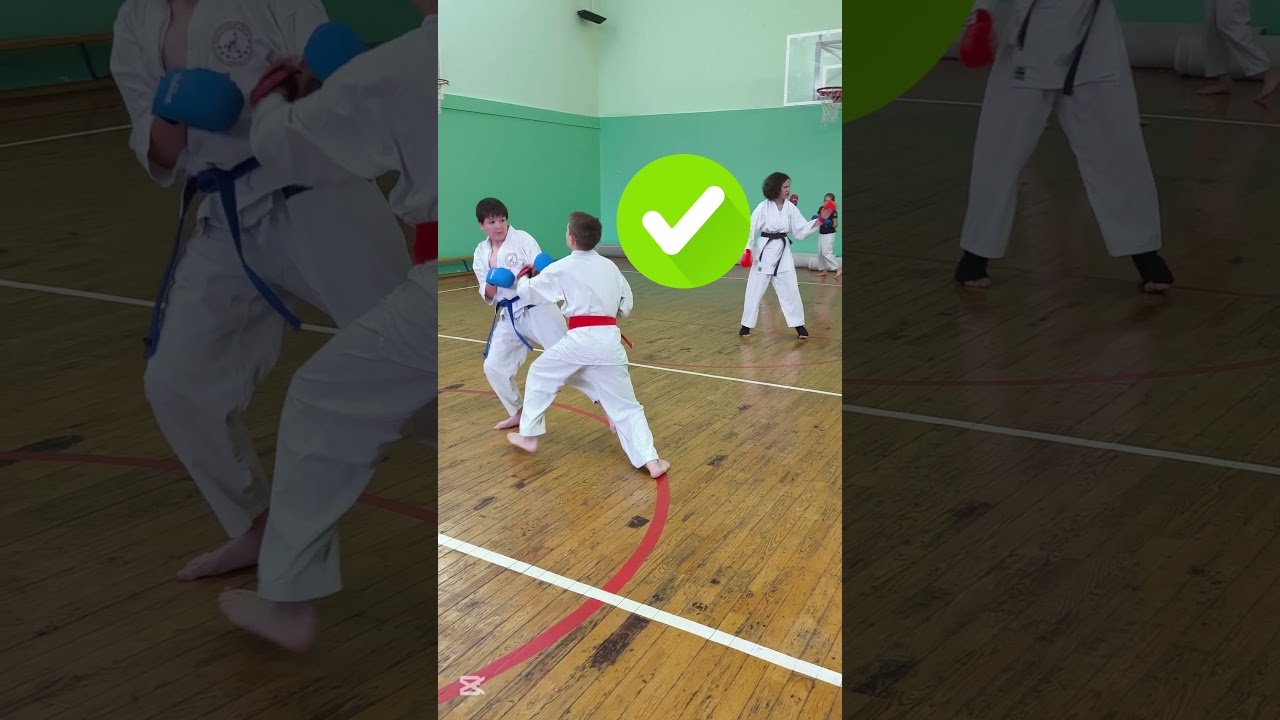 Техника ТРАДИЦИОННОГО КАРАТЭ ДО: рубящий удар ХАЙТО УЧИ #karate #karatedo #fudokan #wkf #shotokan