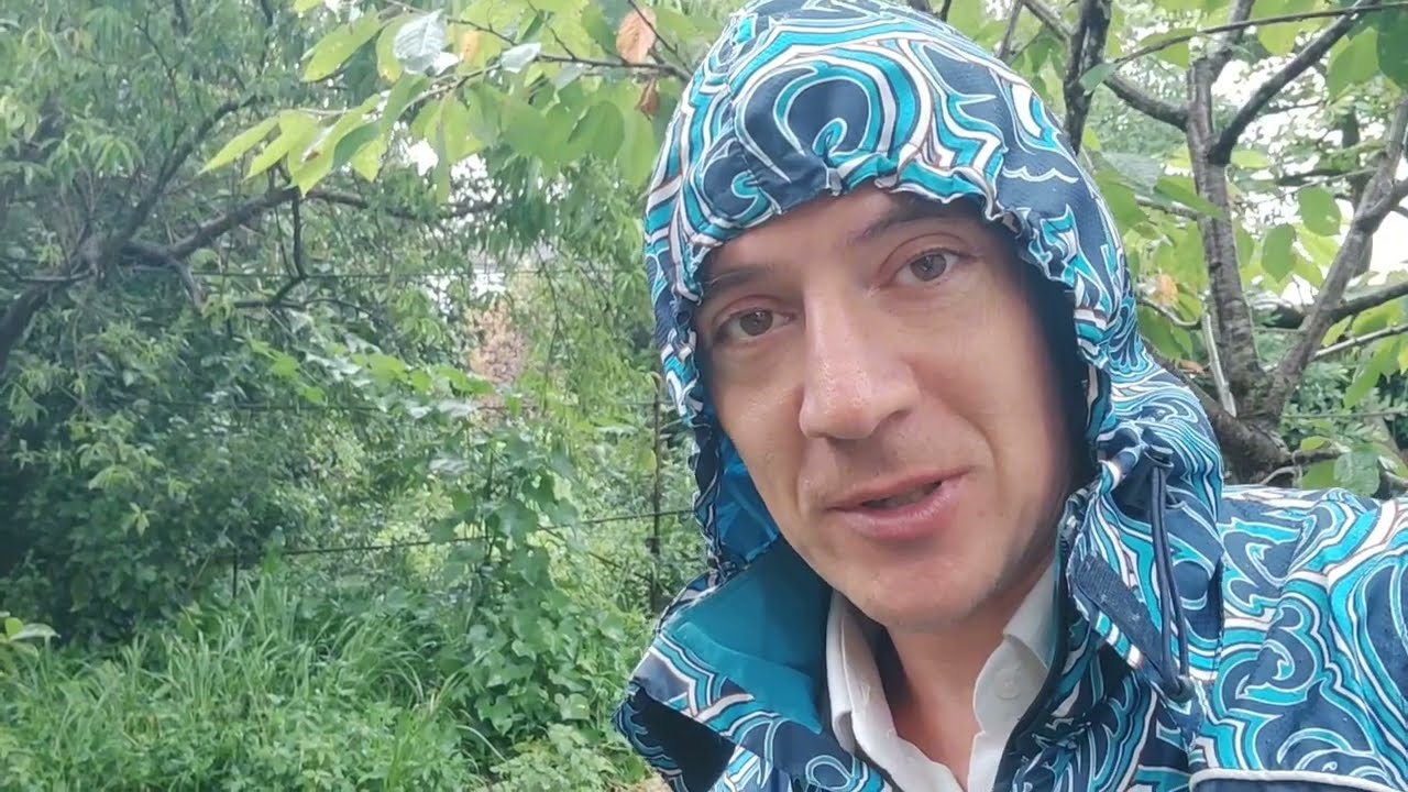Абхазия Цитрусовый совхоз Бамбук Цены в кафе Погода Море Пляж Волны 1 июля 2025 г.