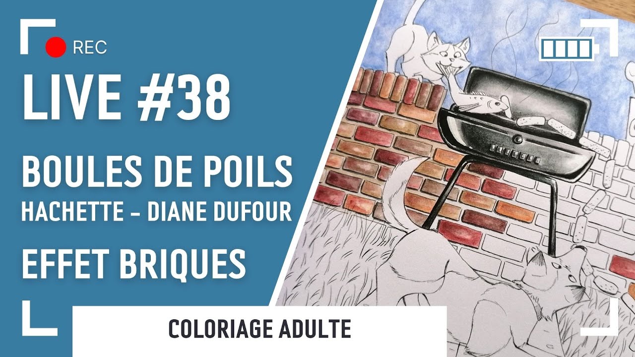 LIVE #38 | Effet Briques - Boules de poils - Diane Dufour