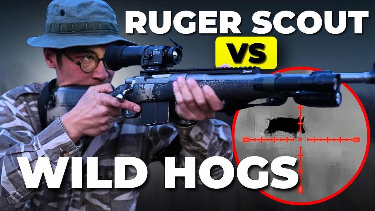 Охота на инвазивных кабанов с винтовкой Ruger Scout