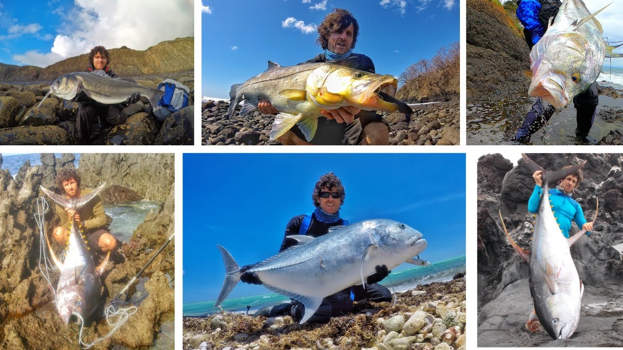 Samson Lures and Long Cast 12ft rods in action.