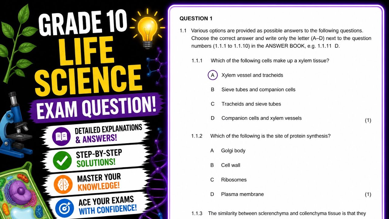 Grade 10 Life Science Nov Exam Question | Past paper| Term 4 Exam| Plant Tissues| Animal Tissues