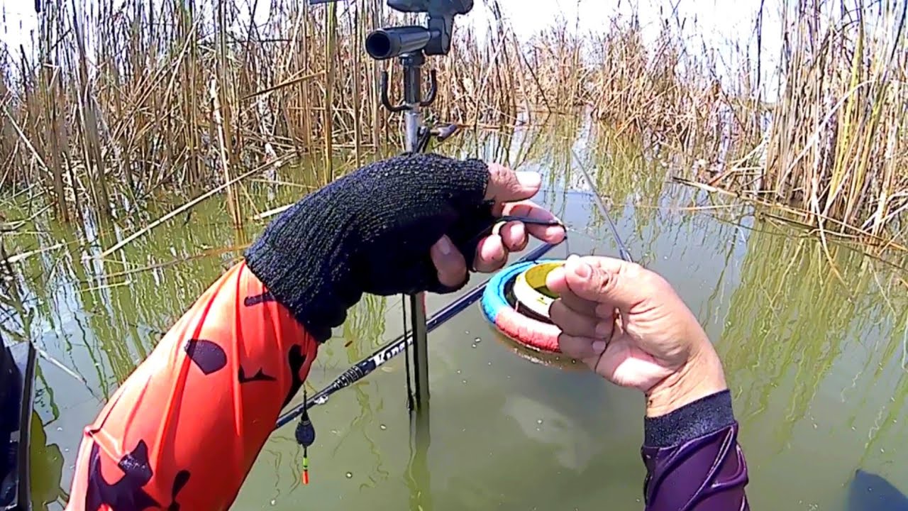 BEGINI CARA KAMI MANCING IKAN NILA DI RAWA