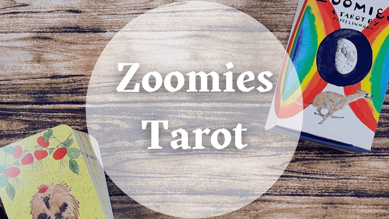 Таро Zoomies | Обзор и первое впечатление