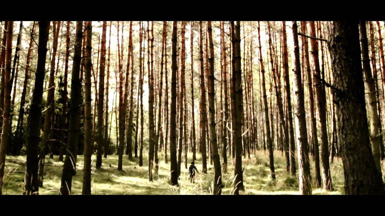 CINE@ART Festivals 2015 - THE SHADOW FOREST / LAS CIENI  by Andrzej Cichocki