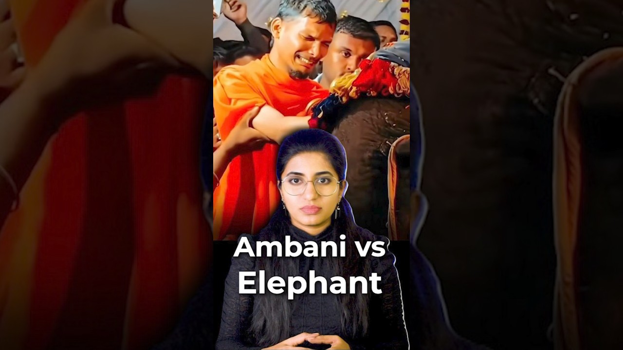 PETA Fought. HC Ordered. Vantara Took it - But Is This Really a Rescue?