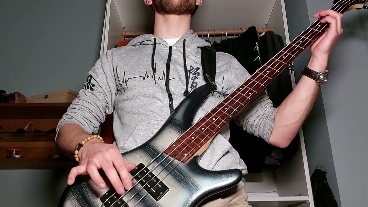 Dyers Eve - Metallica - Bass Cover