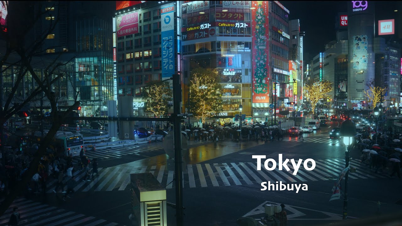 Tokyo Hours — Crossing, Coffee & Pop Culture | Shibuya