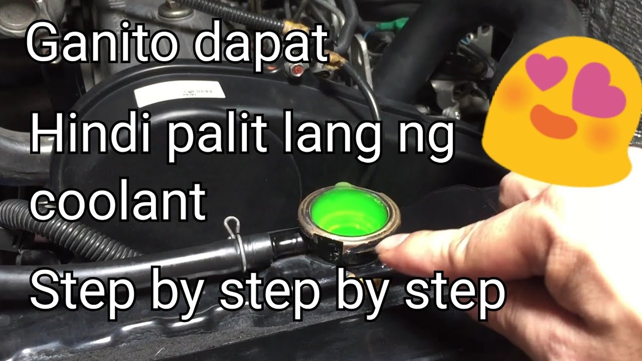 Coolant flushing. The cleanest way!