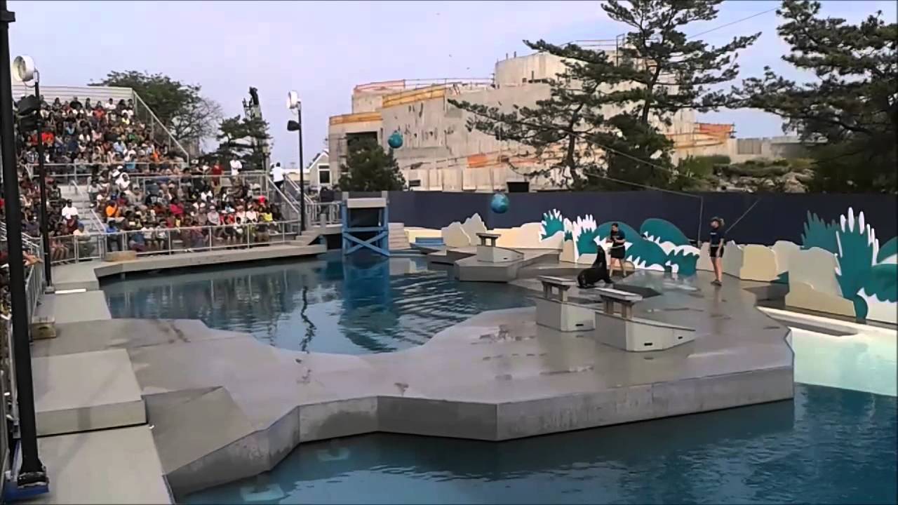 Sea Lion Show at the Aquatheater -  New York Aquarium