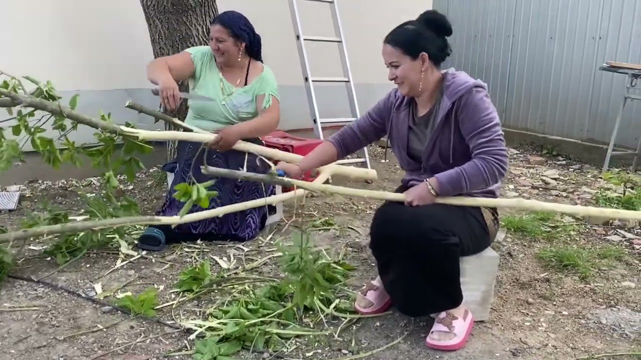 MAI AVEM PUȚIN ȘI TERMINĂM