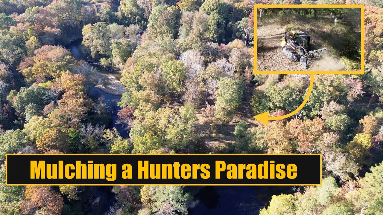 Mulching a Hunter's Paradise. (Whale Tale Finale) I think its time for some new Teeth....