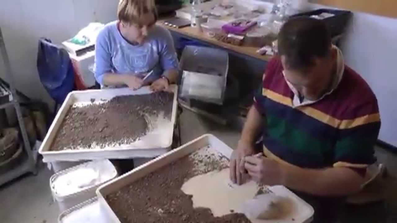 Archaeology - Newcastle University