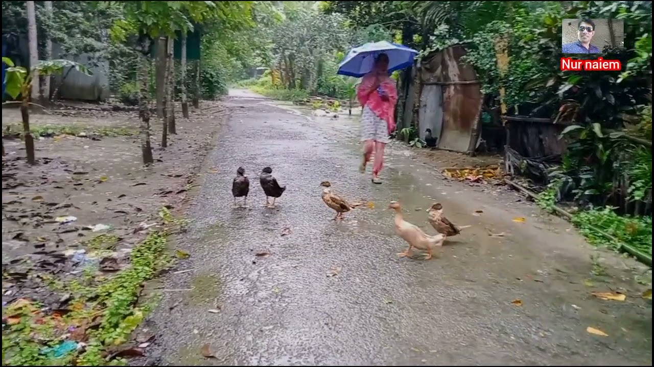 শ্রাবণের ঘন বর্ষায় বাংলার অপরূপ দৃশ্য