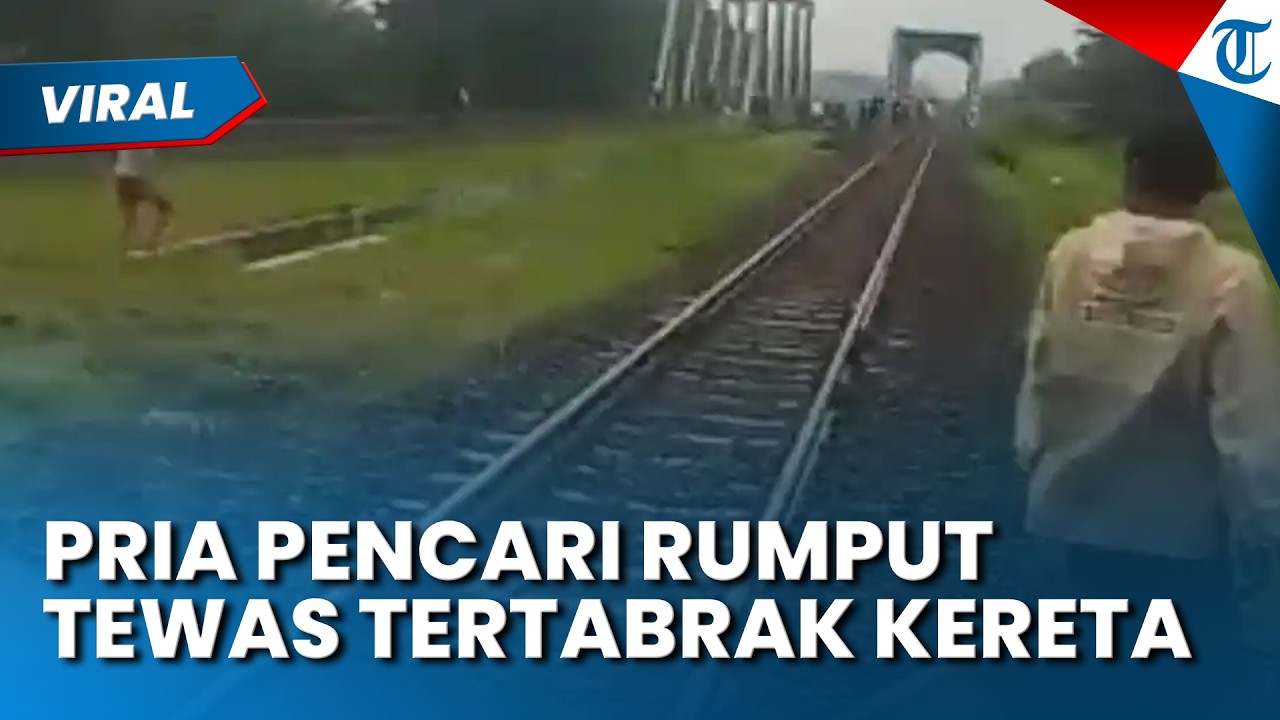 VIRAL VIDEO PENCARI RUMPUT TEWAS TERTABRAK KERETA! Motor Hancur  akibat Benturan dengan 'Ular Besi'