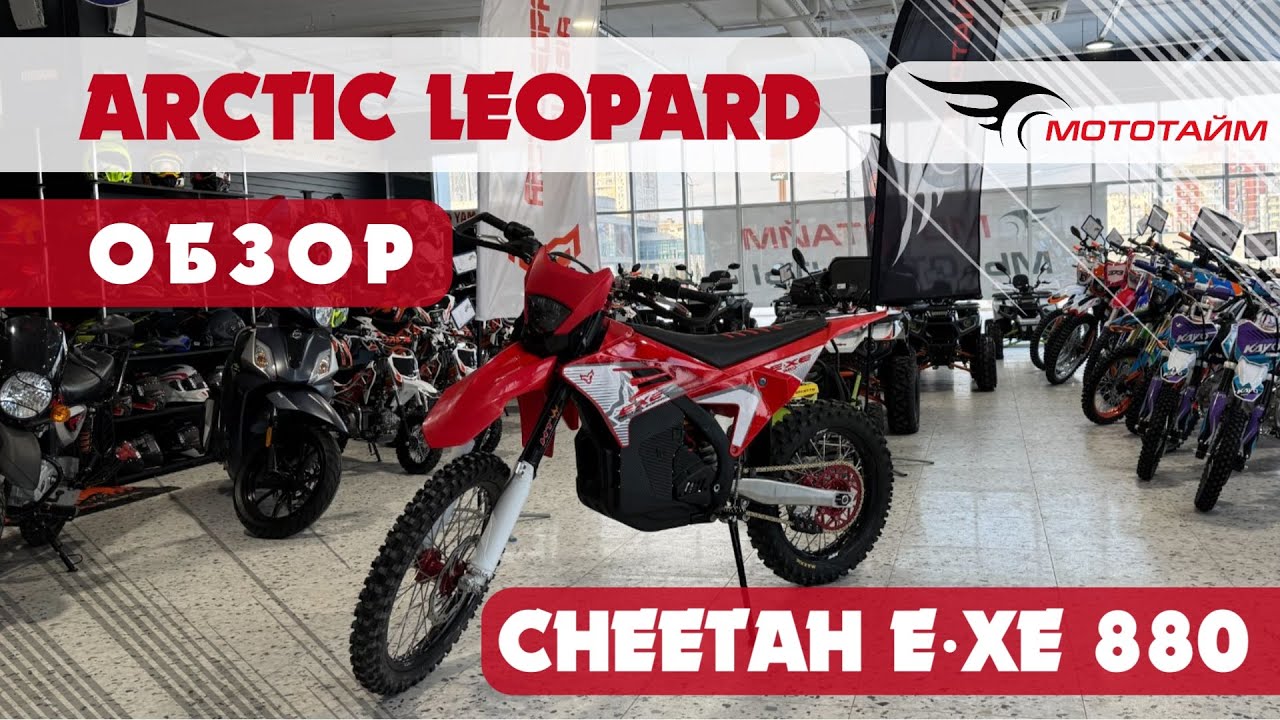 Обзор ARCTIC LEOPARD CHEETAH E-XE 880