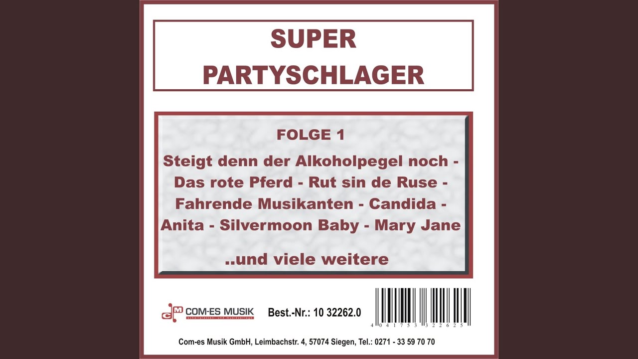Stimmungs-Lieder Medley: Trink, trink, Brüderlein trink / Es gibt kein Bier auf Hawaii / Geh'n...