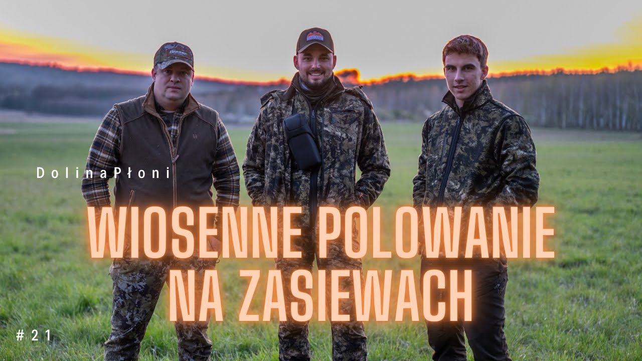 #21 Pilnujemy zasiewów kukurydzy i grochu/ wildboar hunting