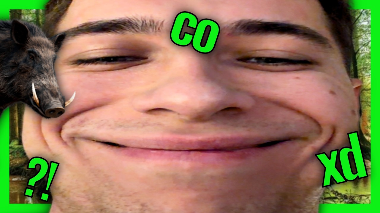 FRIZ KONTRA DZIKI XD