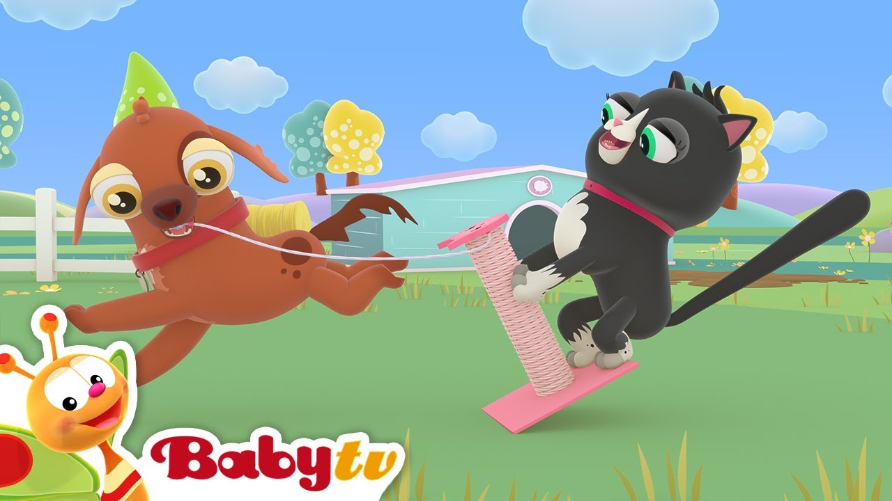 Zabawy z domowymi zwierzątkami 😻🐶 | Piosenki & rymowanki | BabyTV Polski