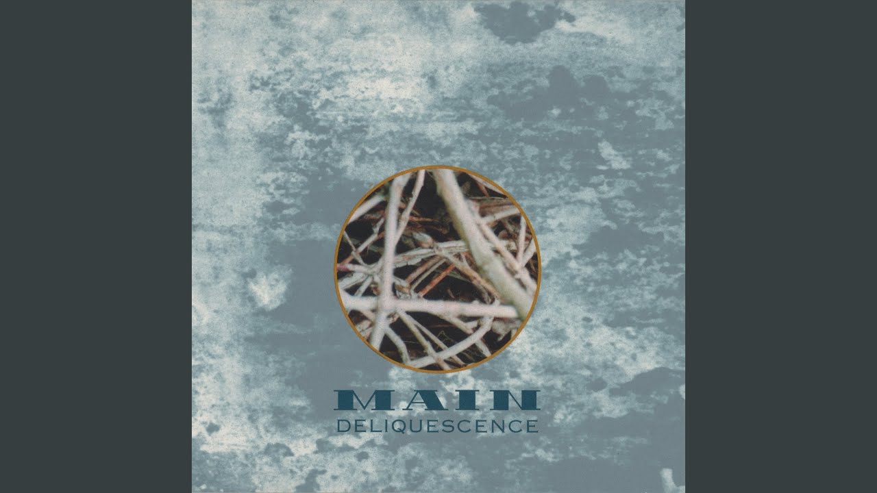 Carrier Wave (Live at Theatre Municipal, Nevers, France)